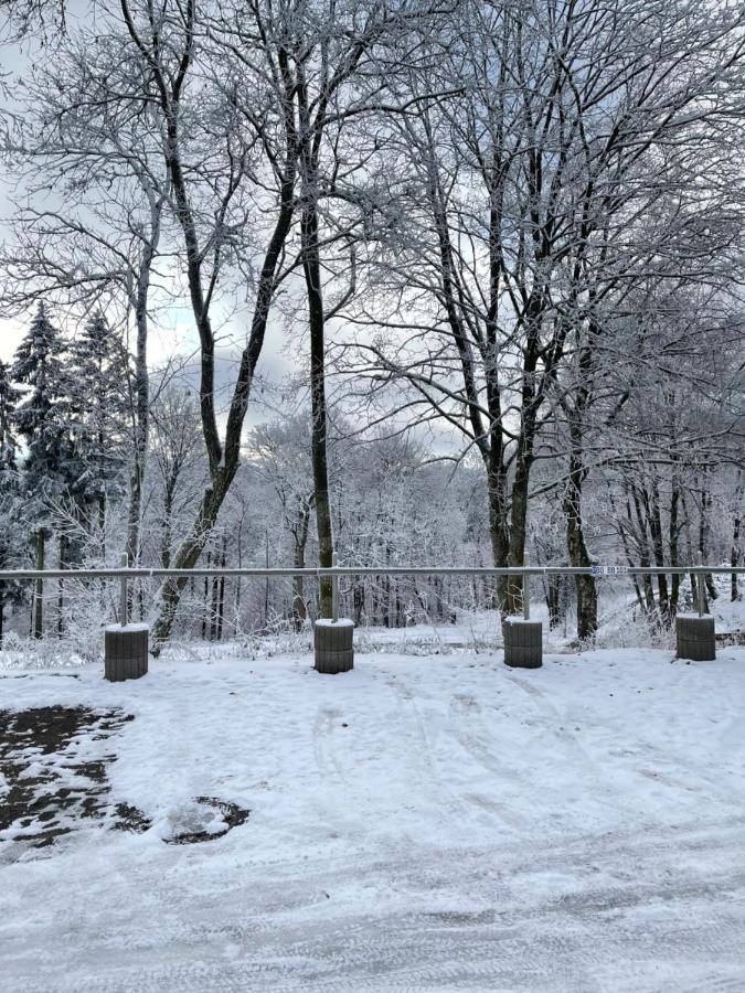 Aventur Studio 212 Am Rotharrsteig Medebach Dış mekan fotoğraf
